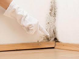 Best Mold Removal for HVAC Installations  in Mineville, NY